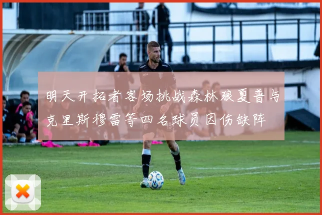 明天开拓者客场挑战森林狼夏普与克里斯穆雷等四名球员因伤缺阵