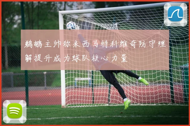 鹈鹕主帅称米西马特科维奇防守理解提升成为球队核心力量