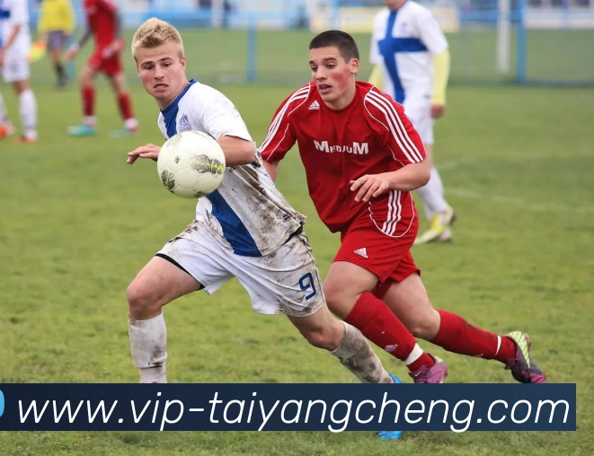 App Interface Preview