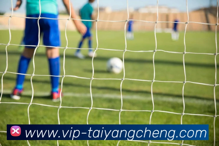 太阳城APP 封面图