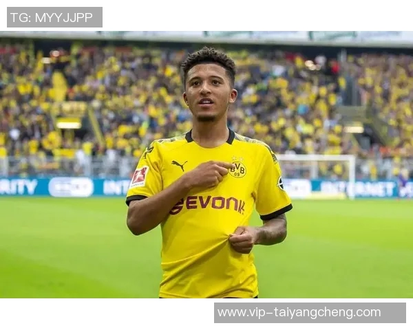 哈兰德仅售6000万多特转手桑乔贝林等五人获利达35亿