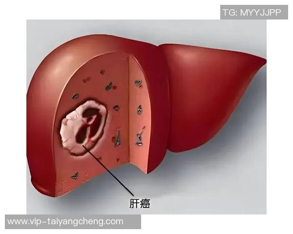 帕夫洛维奇眉骨受伤缝合九针检查结果显示身体无大碍